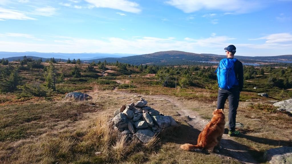 Lillehammer Fjellstue Og Hytteutleie Hotel Nordseter Buitenkant foto