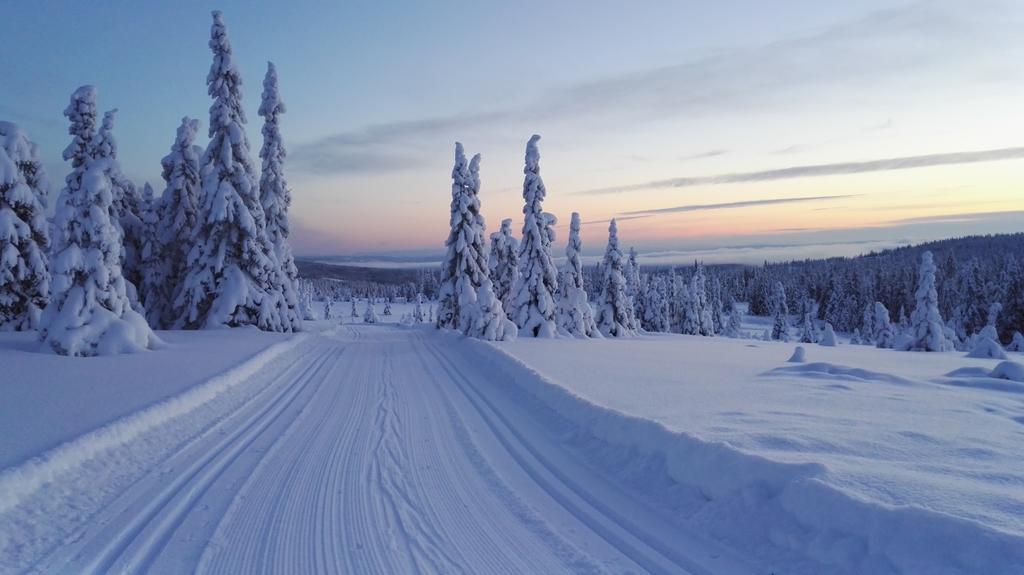 Lillehammer Fjellstue Og Hytteutleie Hotel Nordseter Buitenkant foto