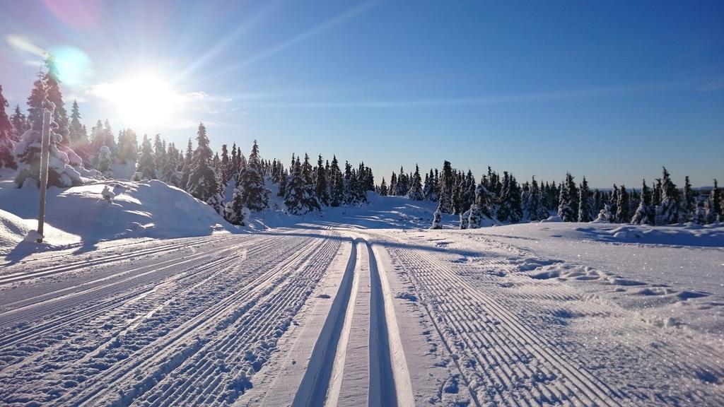 Lillehammer Fjellstue Og Hytteutleie Hotel Nordseter Buitenkant foto