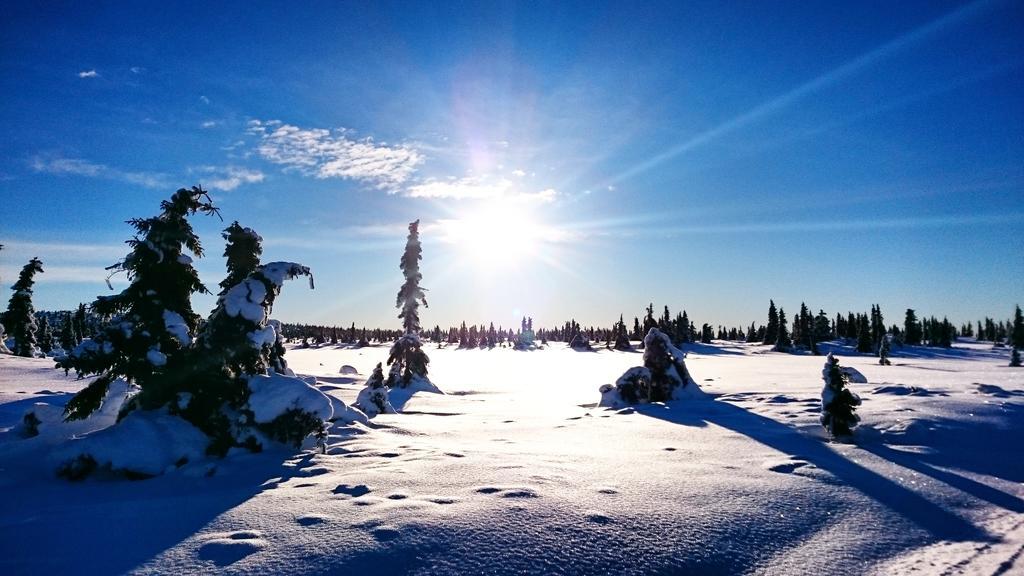 Lillehammer Fjellstue Og Hytteutleie Hotel Nordseter Buitenkant foto