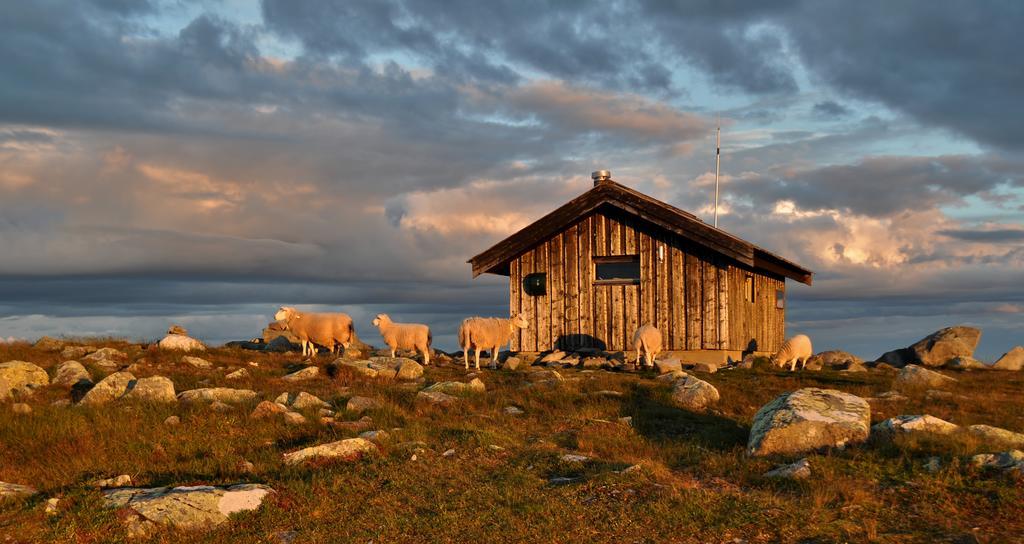 Lillehammer Fjellstue Og Hytteutleie Hotel Nordseter Buitenkant foto